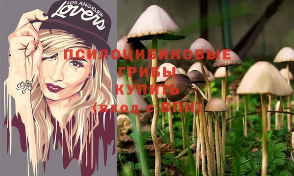 прущий лед Бородино