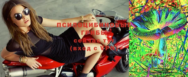 прущий лед Богородск