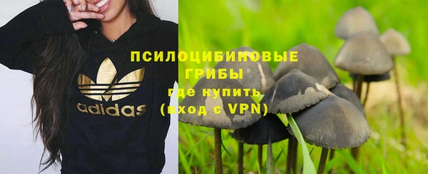 прущие грибы Бронницы
