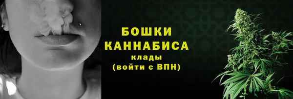 прущий лед Бородино