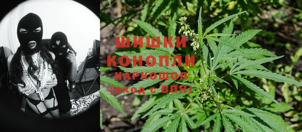 mix Белокуриха