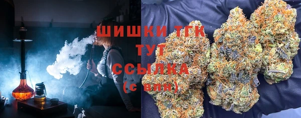 прущий лед Богородск