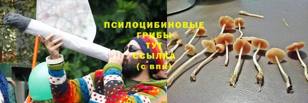прущий лед Богородск