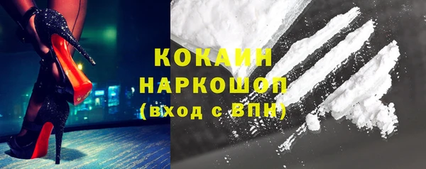 прущий лед Бородино